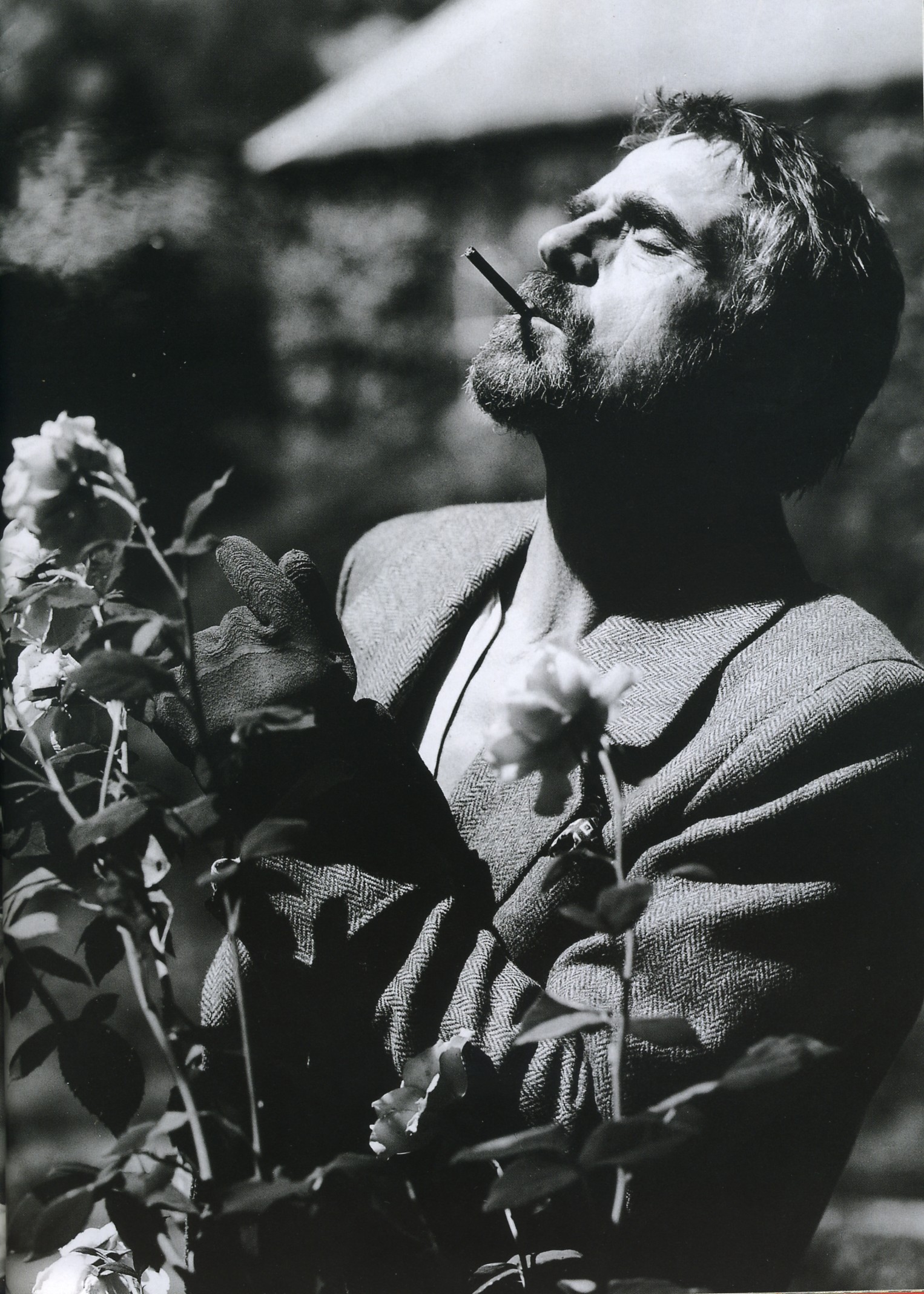 杰瑞米·艾恩斯