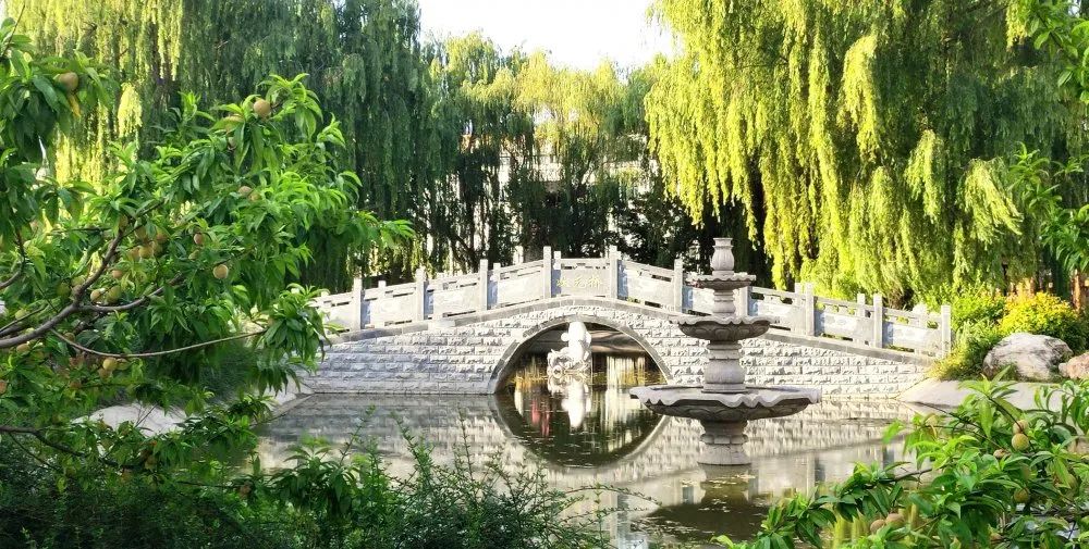  p data-id="trq3hw0foksr">江苏省运河中学北校区,别名邳州市第六