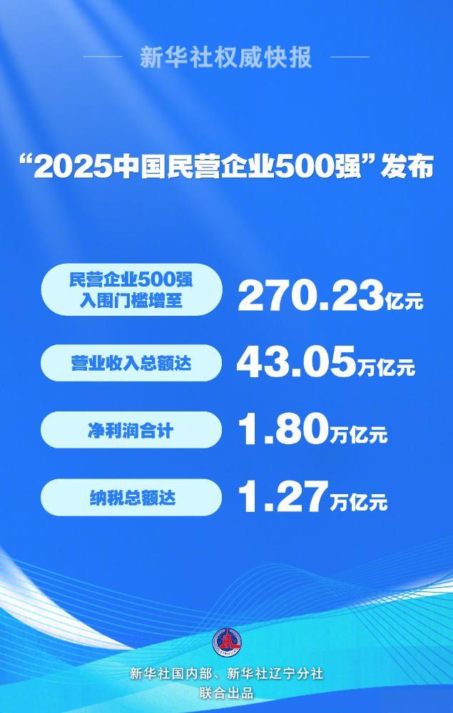 2025中国民营企业500强_百度百科