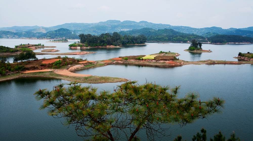 位于四川省仁寿县 a target="_blank" href="/item/黑龙滩镇/1385265"