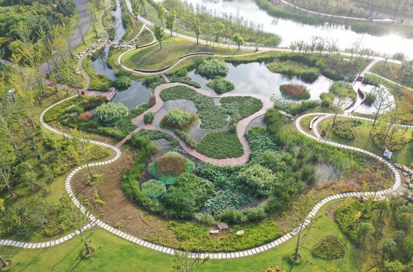  p data-id="seebkmnbepzm">阜阳植物园位于阜阳市城南新区东南角,北