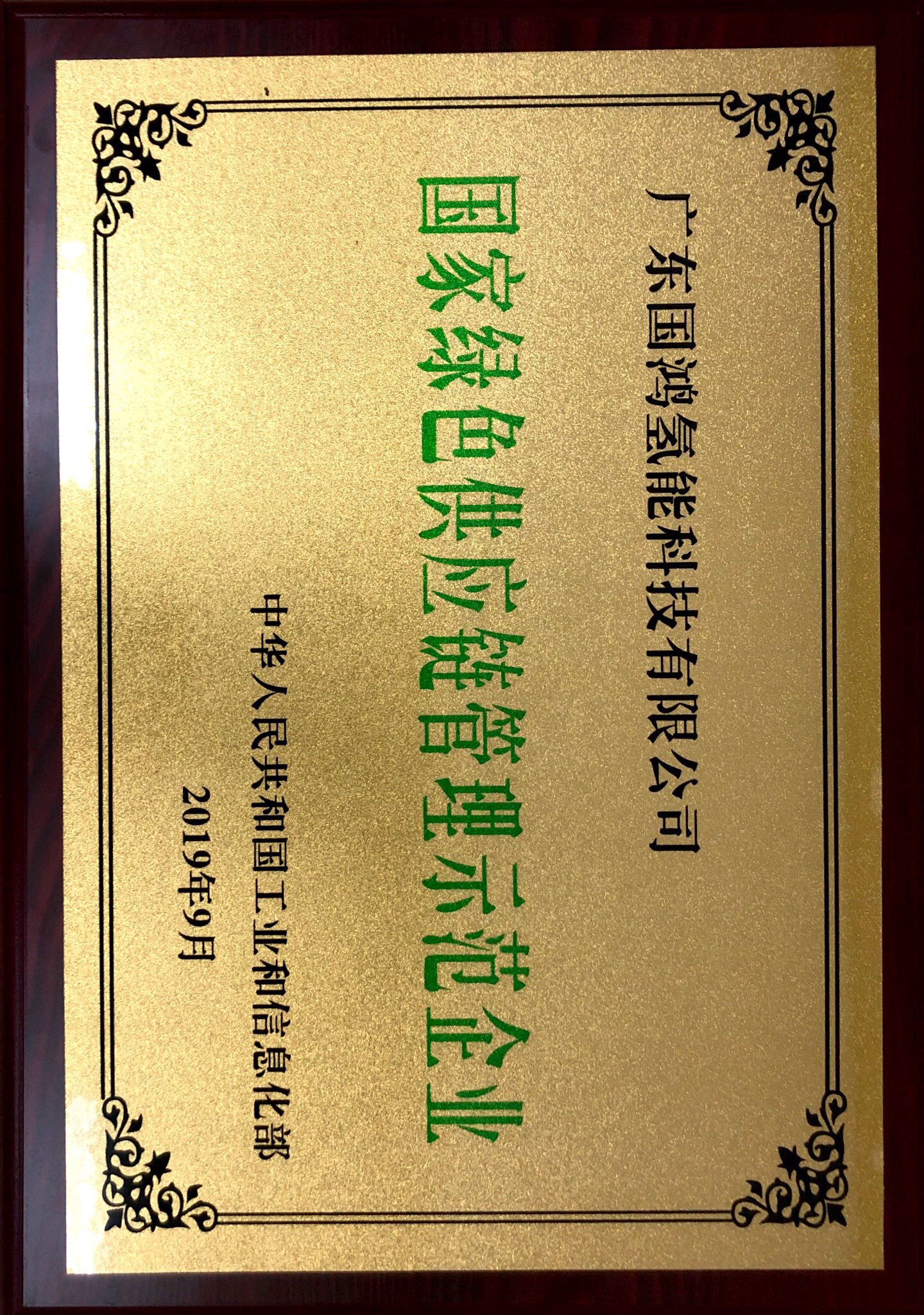 国鸿氢能科技(嘉兴)股份有限公司