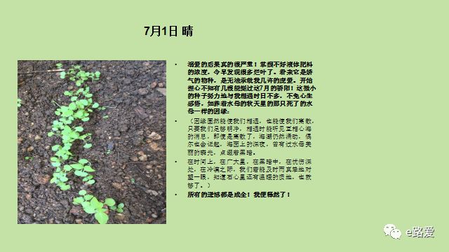这样孵育，你也可以收获百花之英的兰香，更能陶冶兰心蕙质_百科TA说