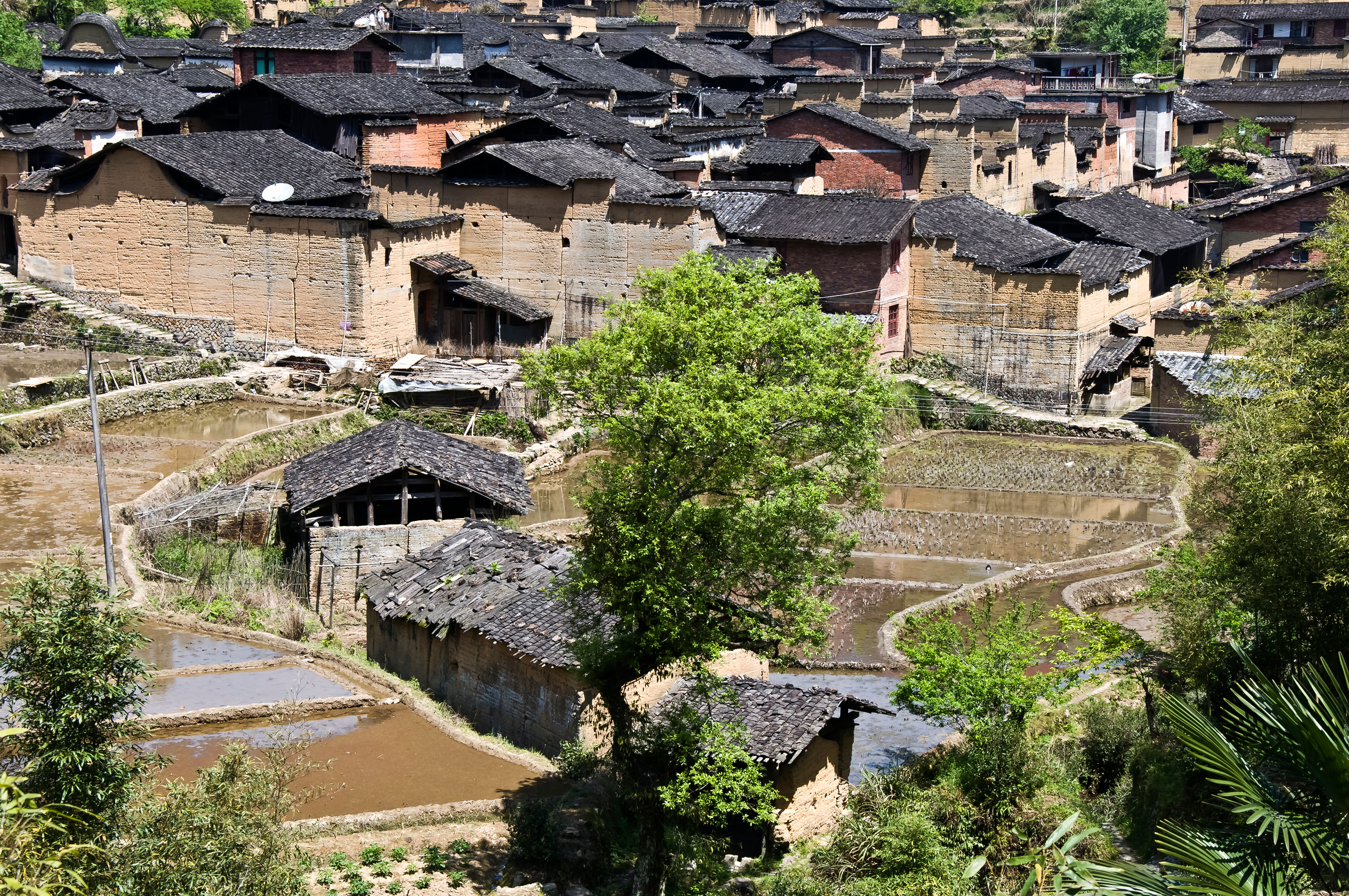  p>北村,是位于闽东北洞宫山脉的一个高山区村落, span class="ref"