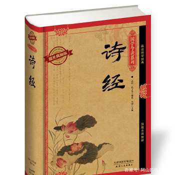诗歌的精髓是什么_百科TA说