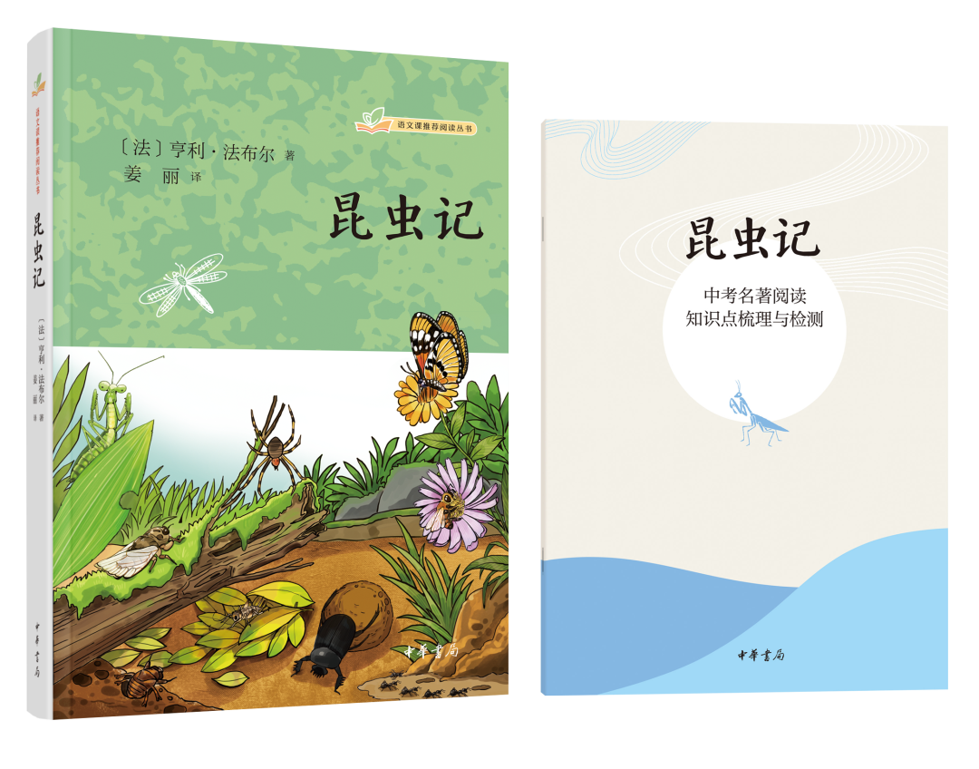 昆虫记