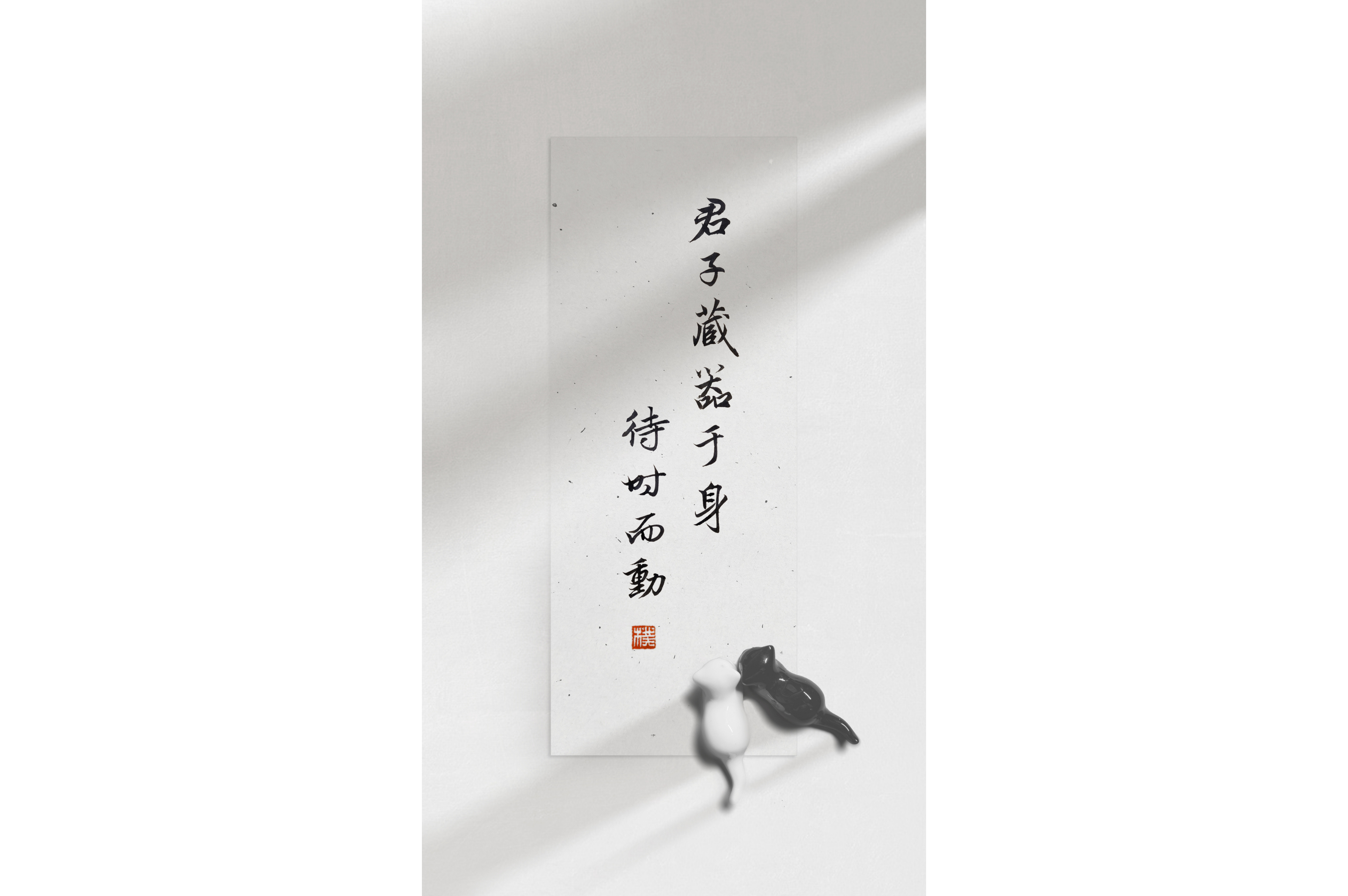 君子藏器于身,待时而动