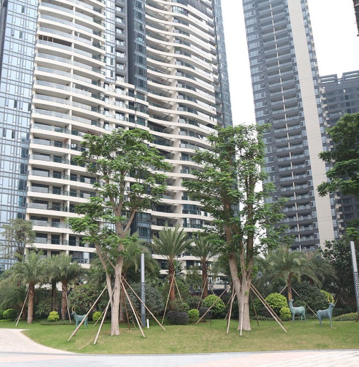  p>西关海位于广州市荔湾南岸路,由 a target="_blank" href="/item