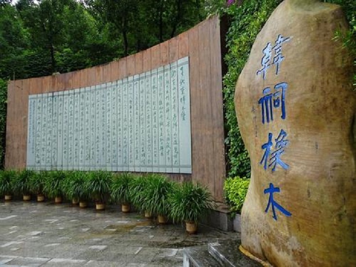 潮州韩祠橡木