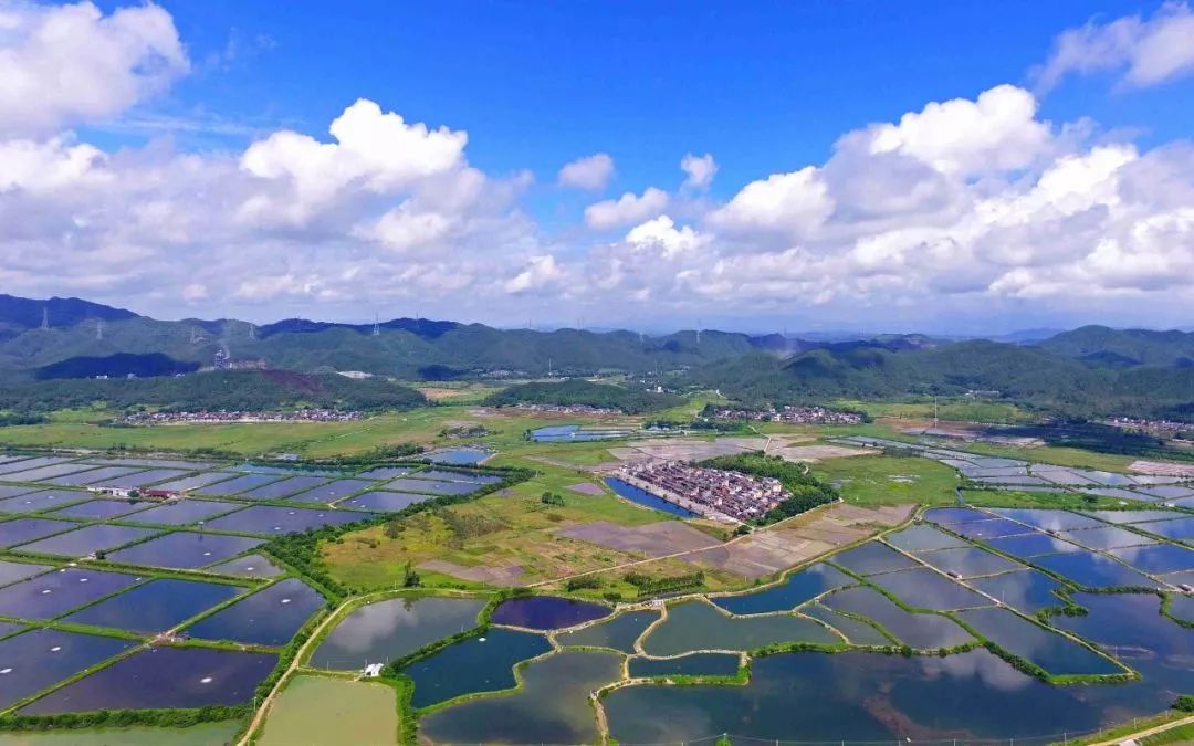 横陂镇,位于广东省<a target="