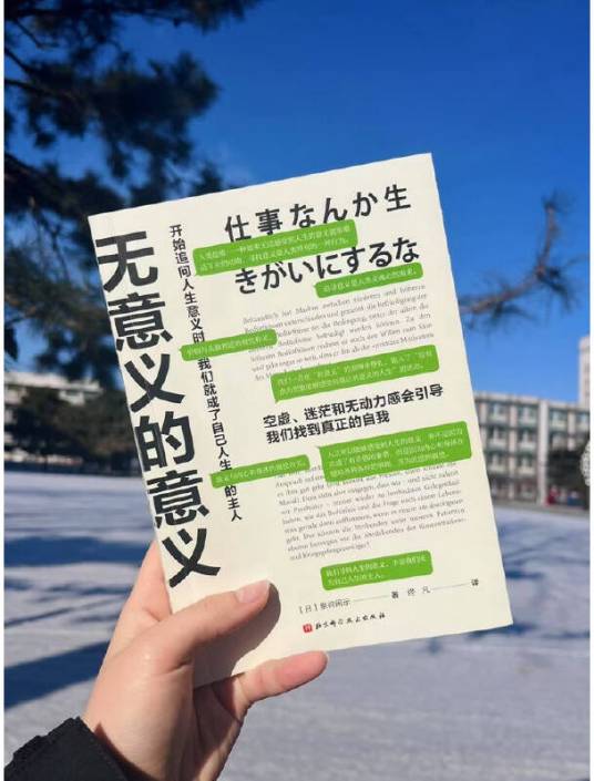 无意义的意义