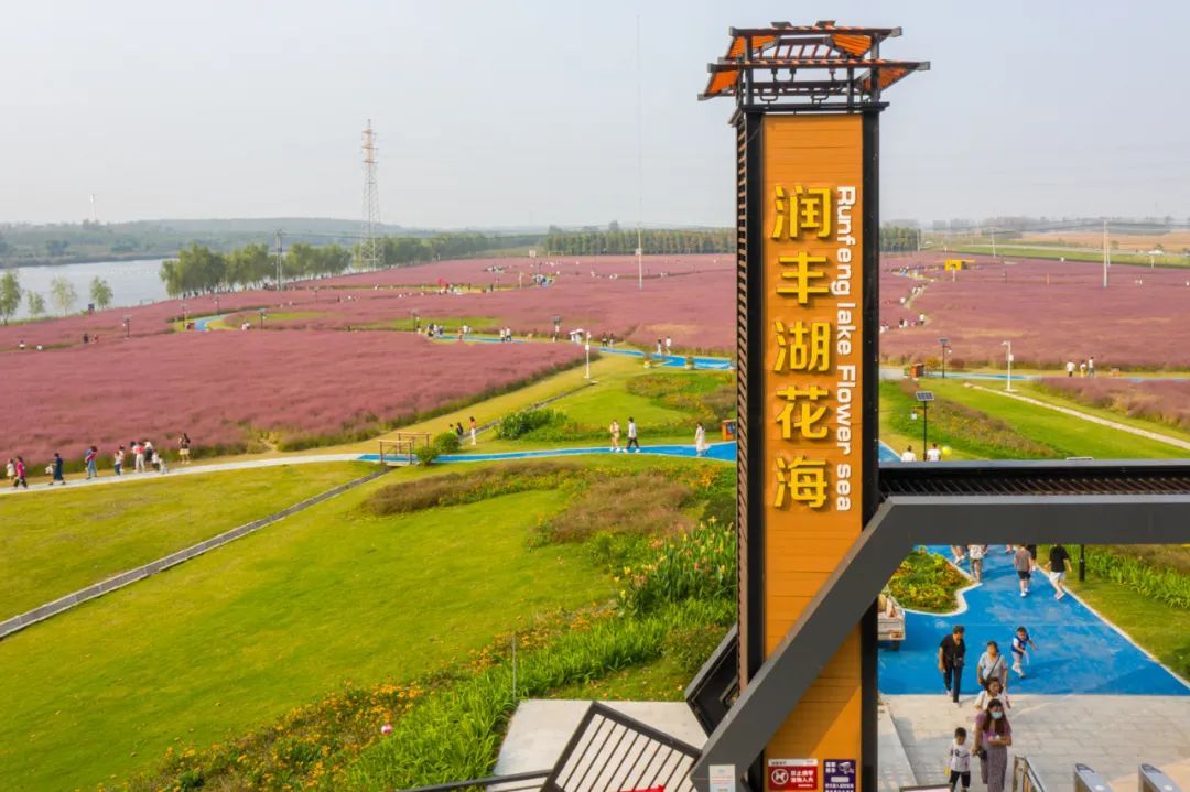 华山镇（江苏省徐州市丰县辖镇）_百度百科