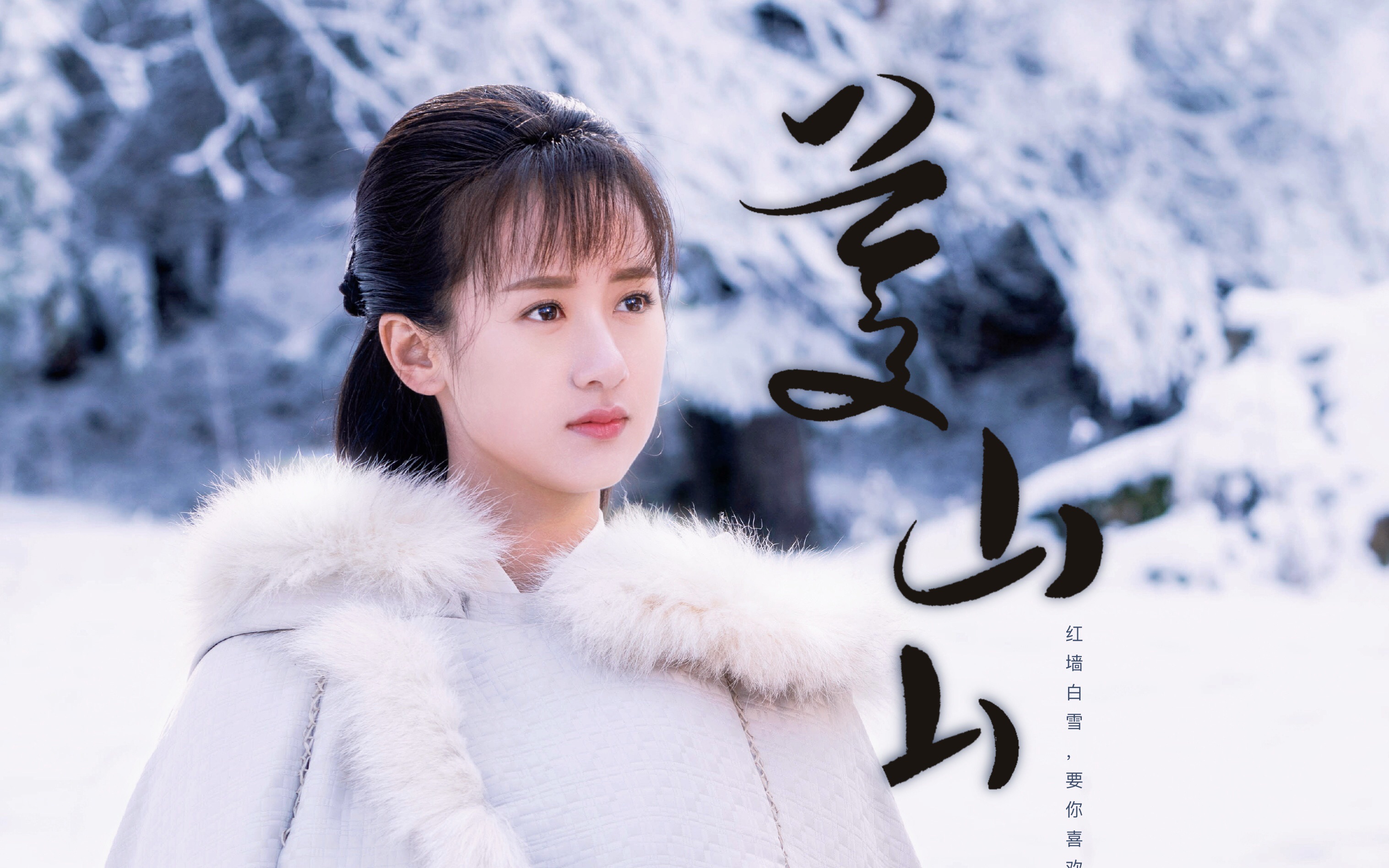 ="45851">小说 /a>《 a target="_blank" href="/item/将夜/1252561"