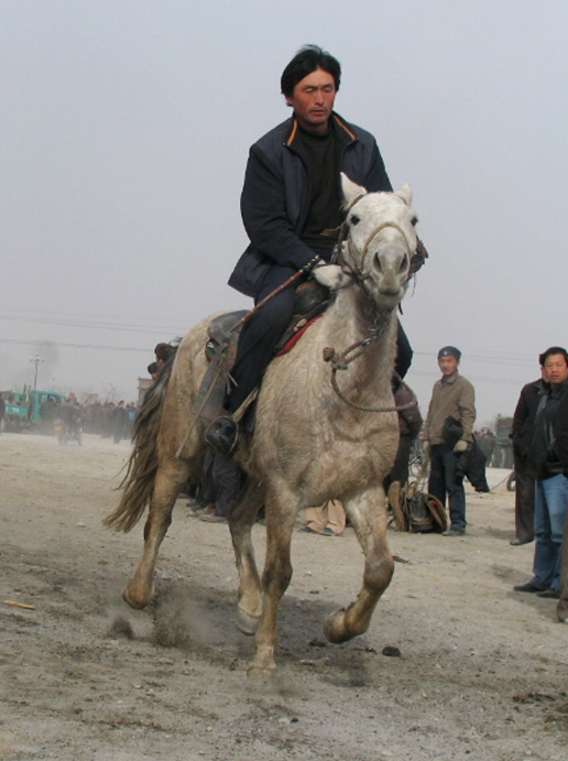 焉耆回族自治县