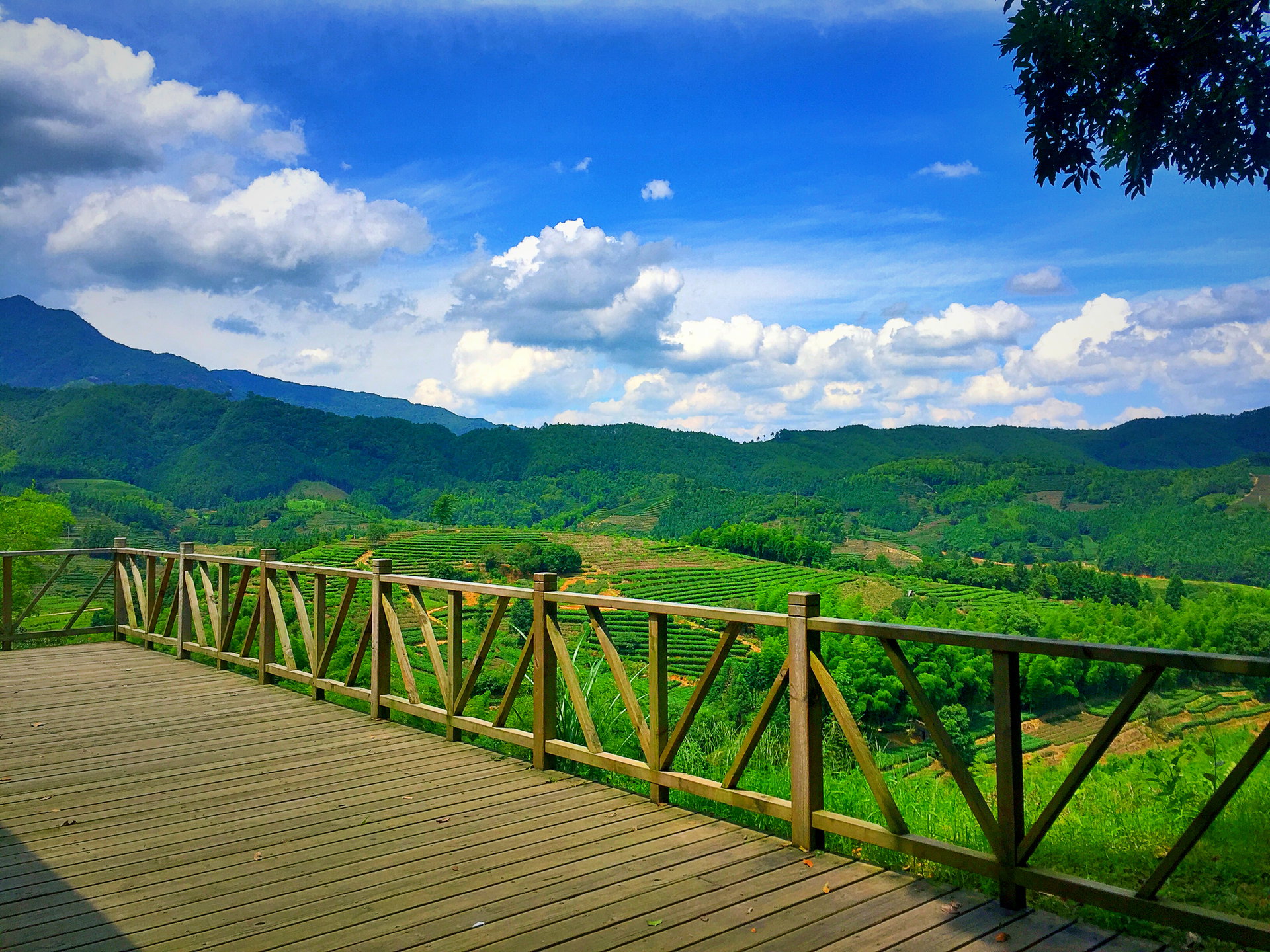  p>东平镇,隶属于福建省南平市政和县,地处 a target="_blank" href="