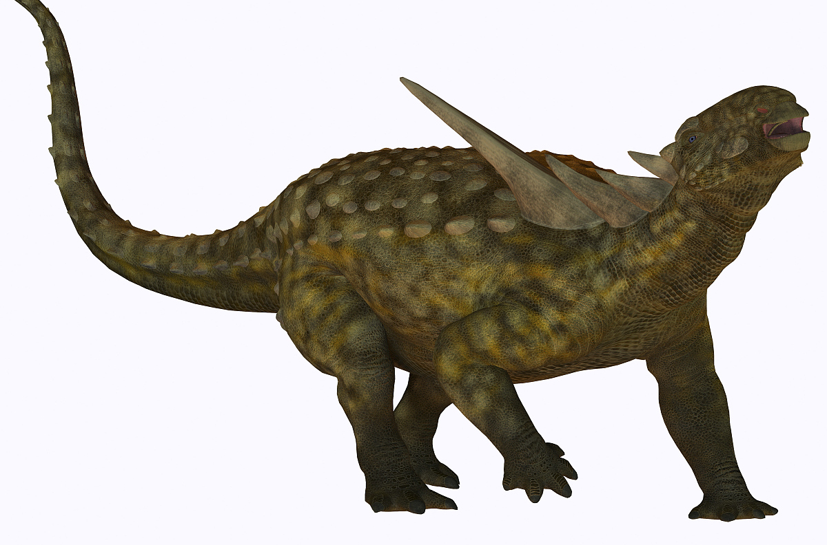 是结节龙科 a data-lemmaid="139019">恐龙 /a>的一属,生存于早 a