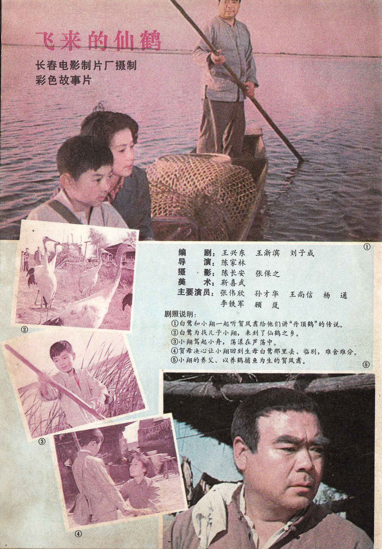  p data-id="gnbug6misz">《飞来的仙鹤》是由长春电影制片厂出品, a