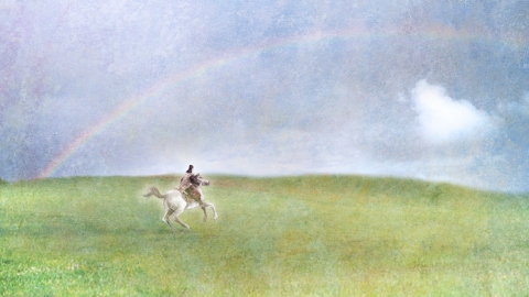 中的人物,为书中辽国政权的天寿公主,也是一员女将,辽国"十一曜"