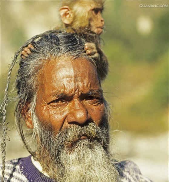 是三种 a href="#" data-lemmaid="4517039">类人猿 /a> a href