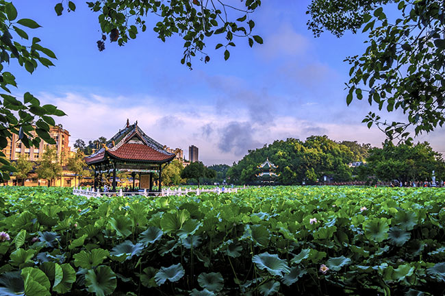 nwywlurz">自贡市文庙西湖景区,是景城一体化景区,坐落于富顺县古城区