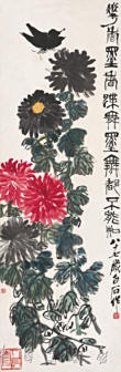 菊花蝴蝶