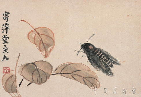 墨蛾