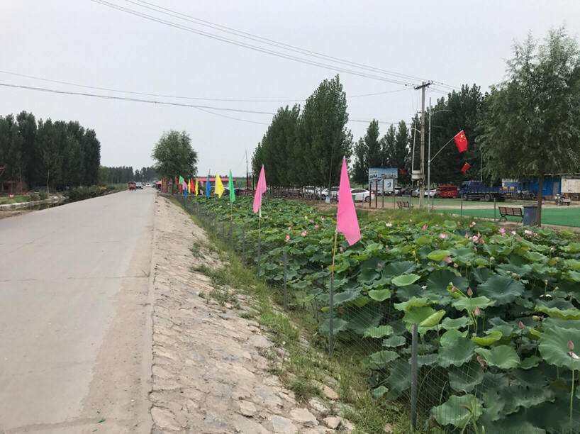 赵北口镇