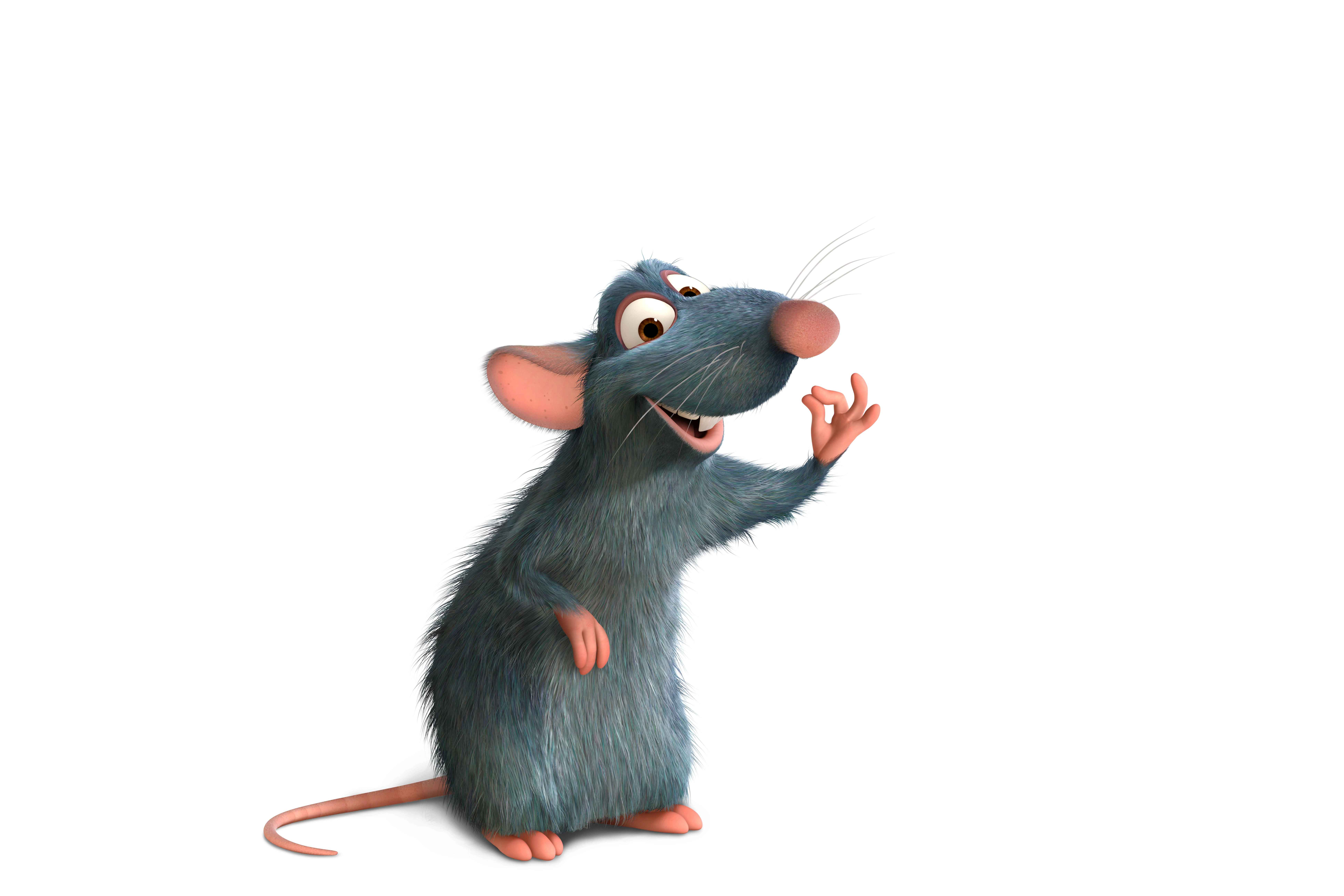  p data-id="gnx2fw3g7z">小米,是电影《美食总动员》中角色,是一只