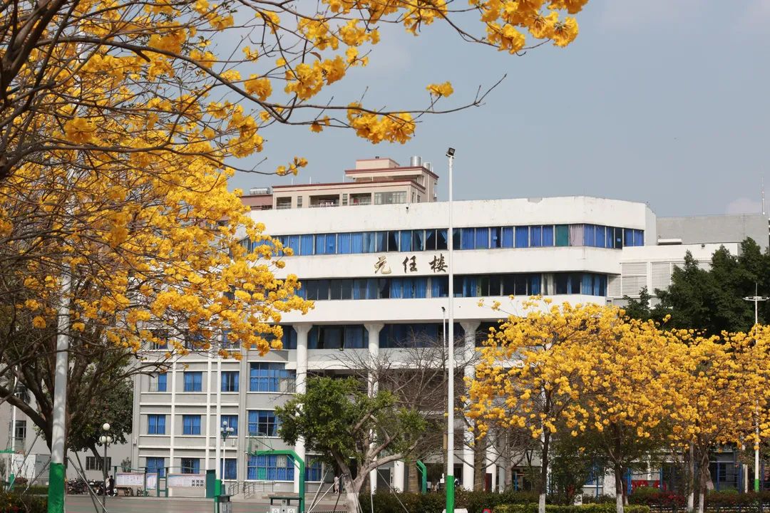 光明区高级中学