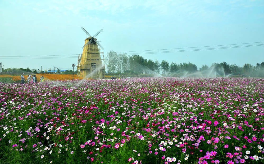  p data-id="gnfjd4he5v">天鸣花海是国家3a级景区,位于安徽庐江. /p>