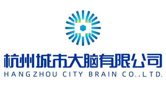 杭州城市大脑有限公司_百度百科