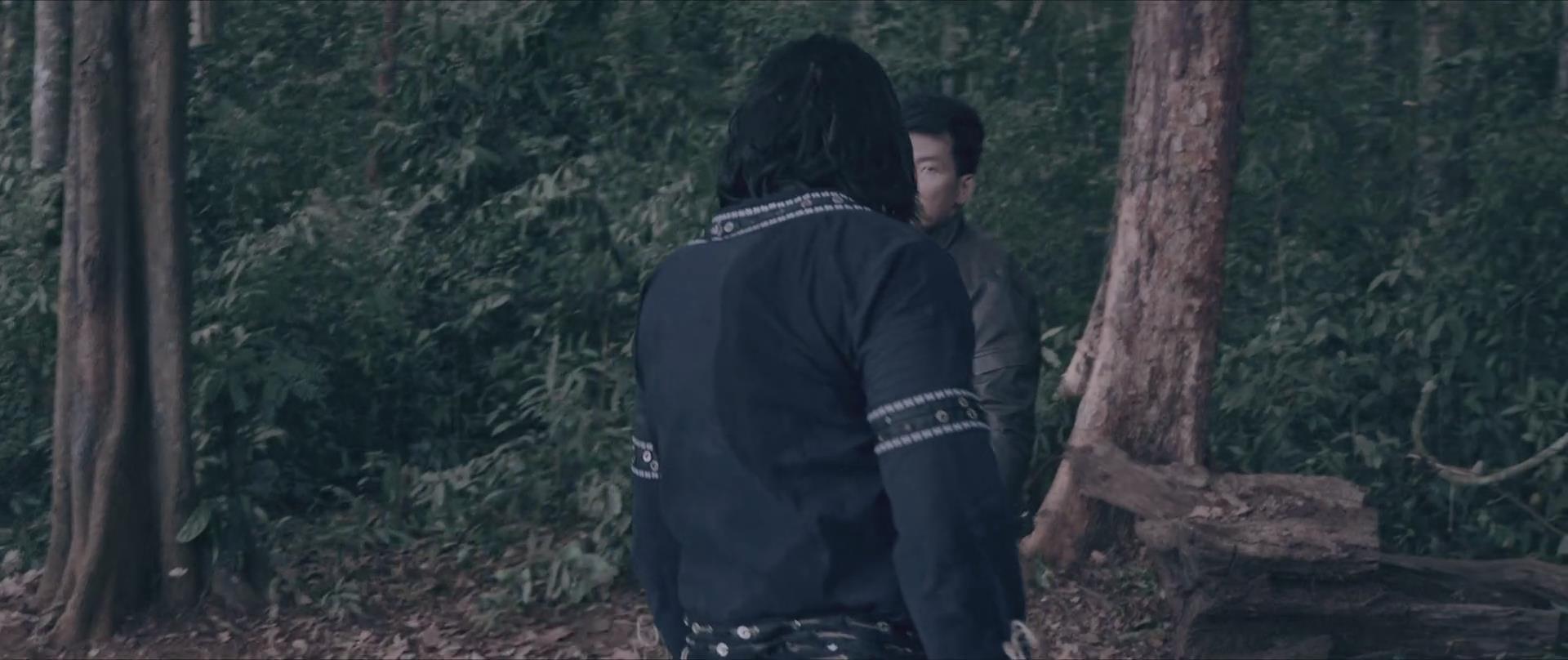 《雾山》是phan anh,ken dinh执导,peter pham等主演的动作片,该片于