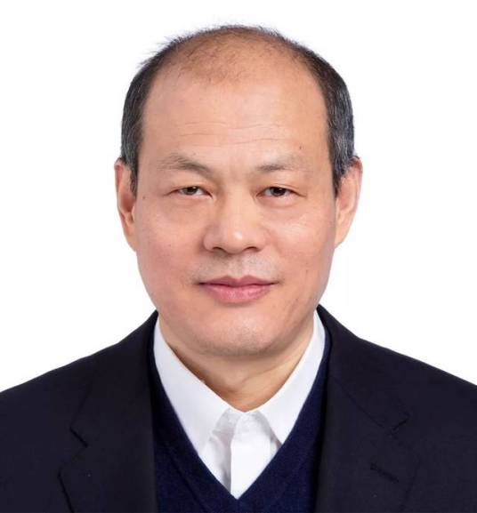 张平（数学家、中国科学院院士）_百度百科