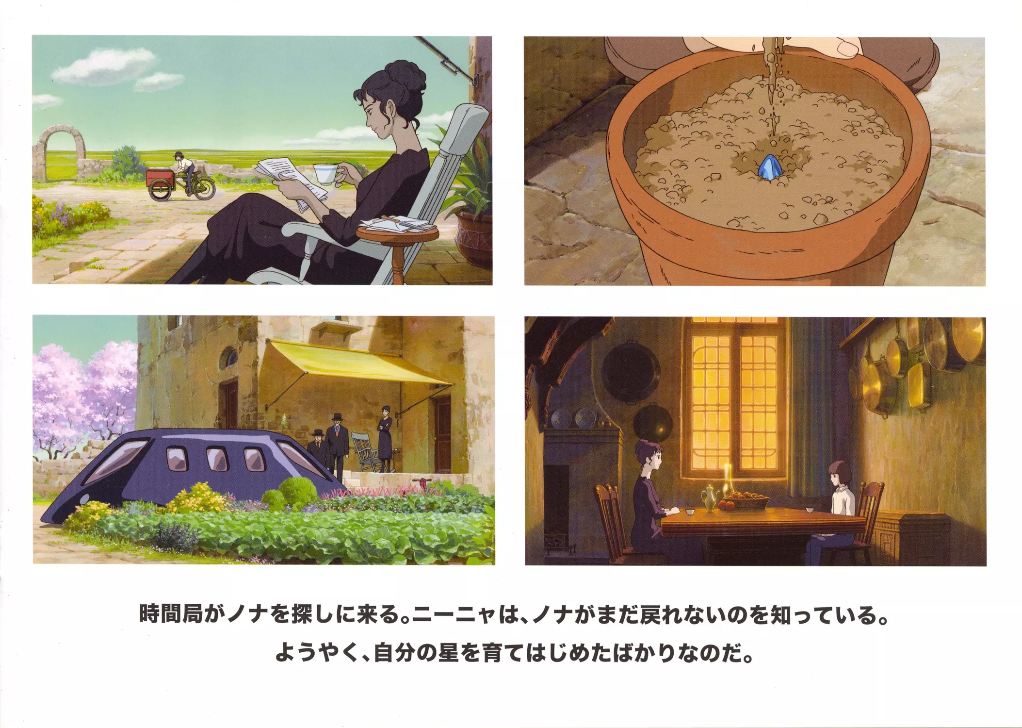 种下星星的日子