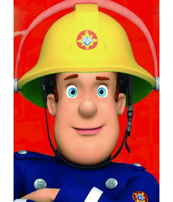 消防员山姆第五季