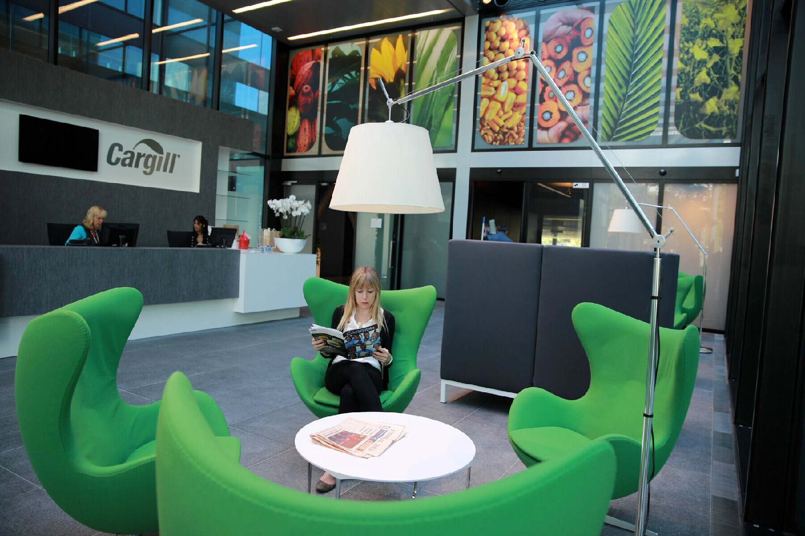 "/item/嘉吉/4783879" data-lemmaid="4783879">嘉吉 /a>公司(cargill