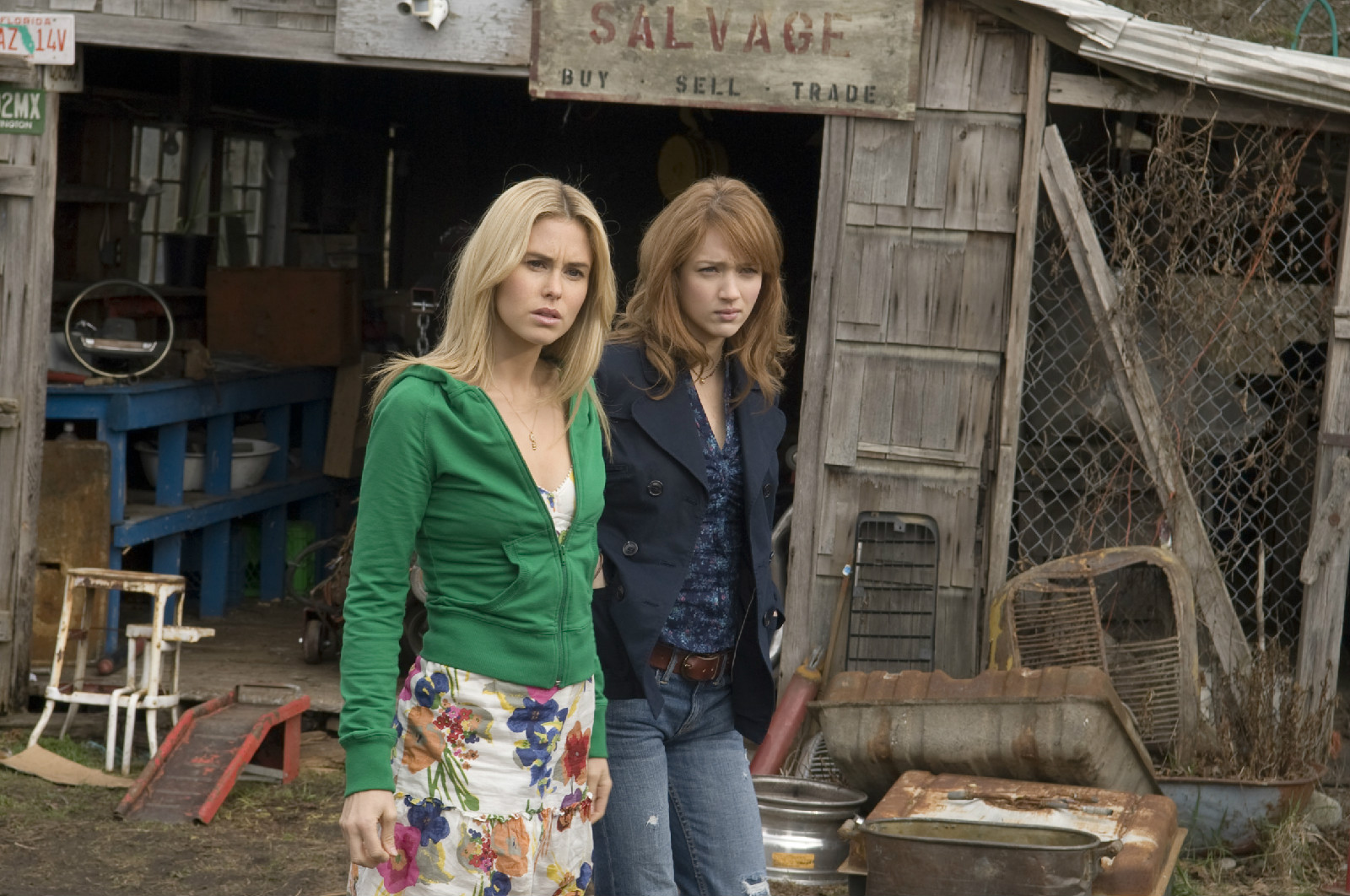 the cabin in the woods