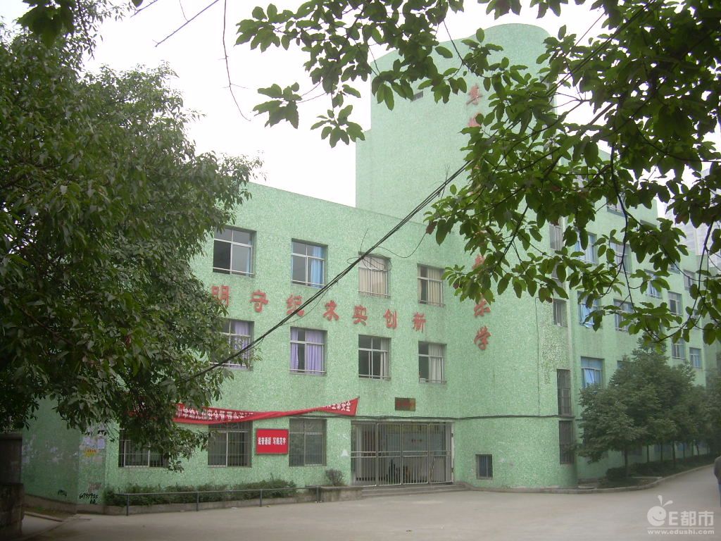 重庆大学附属中学