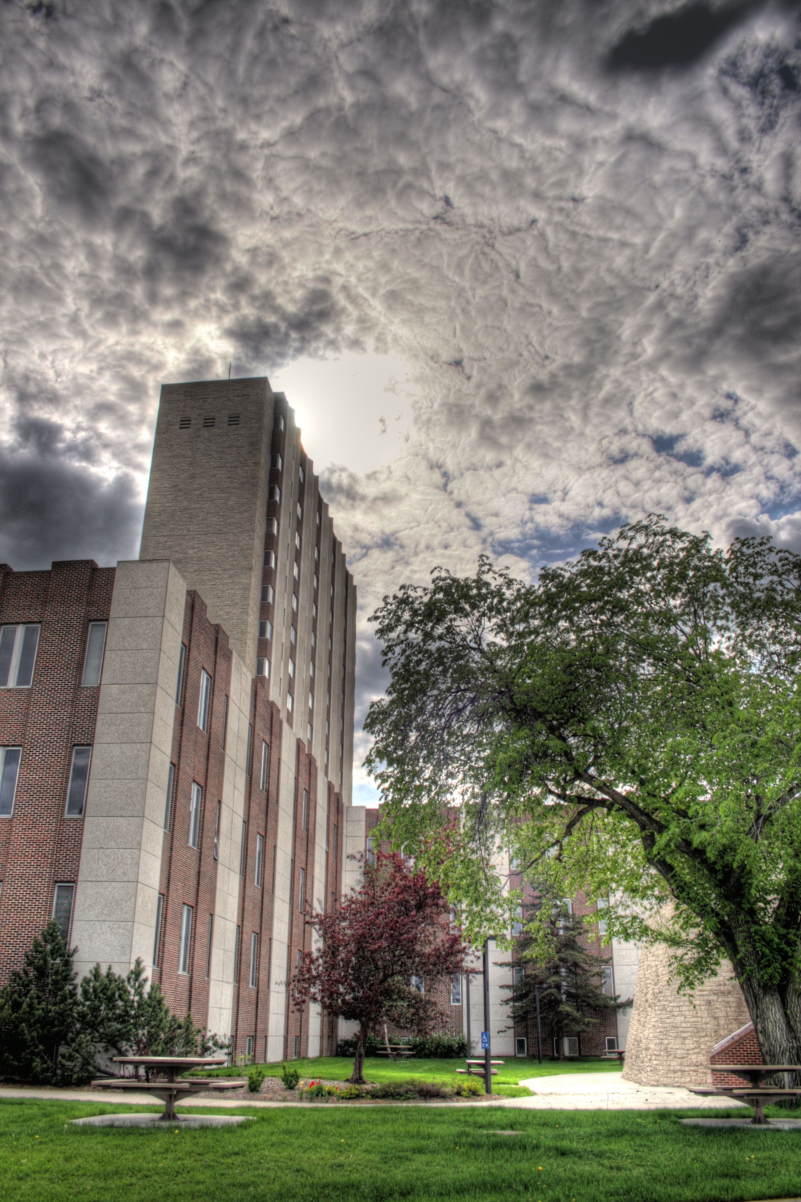 university of alberta