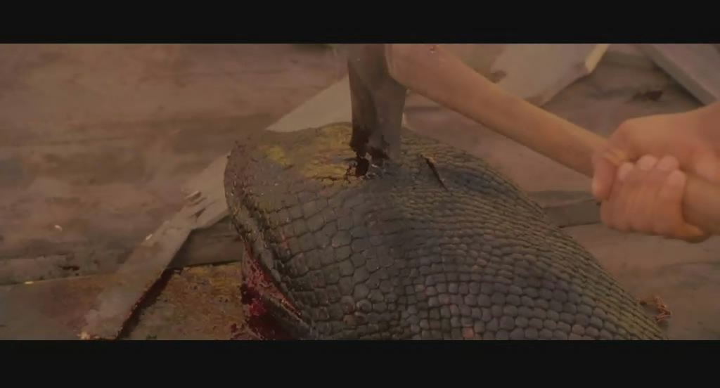 狂蟒之灾anaconda(1997)