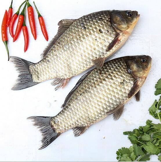 淇河鲫鱼