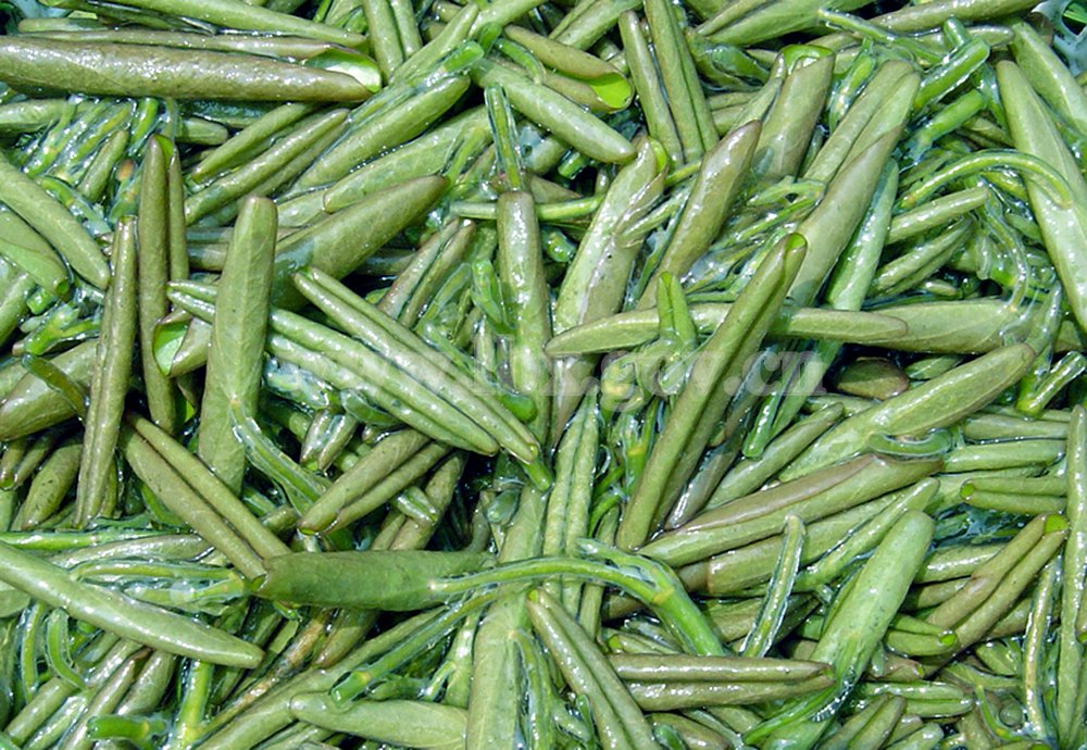 莼菜 莼菜,属睡莲科的一种水草,国家Ⅰ级重点保护野生植物. /p>