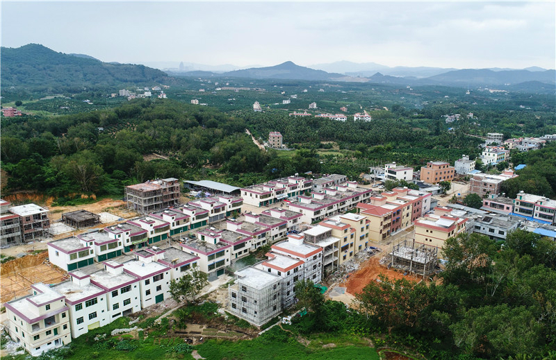 海南省国营南田农场