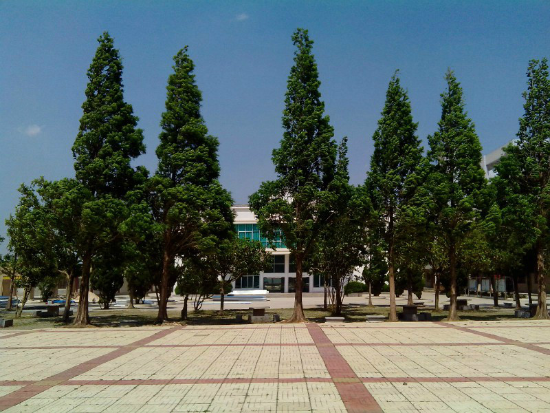  p>砚山县第一中学,又叫砚山一中,位于云南省文山壮族苗族自治州砚山