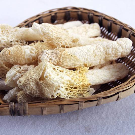 青川竹荪_百度百科