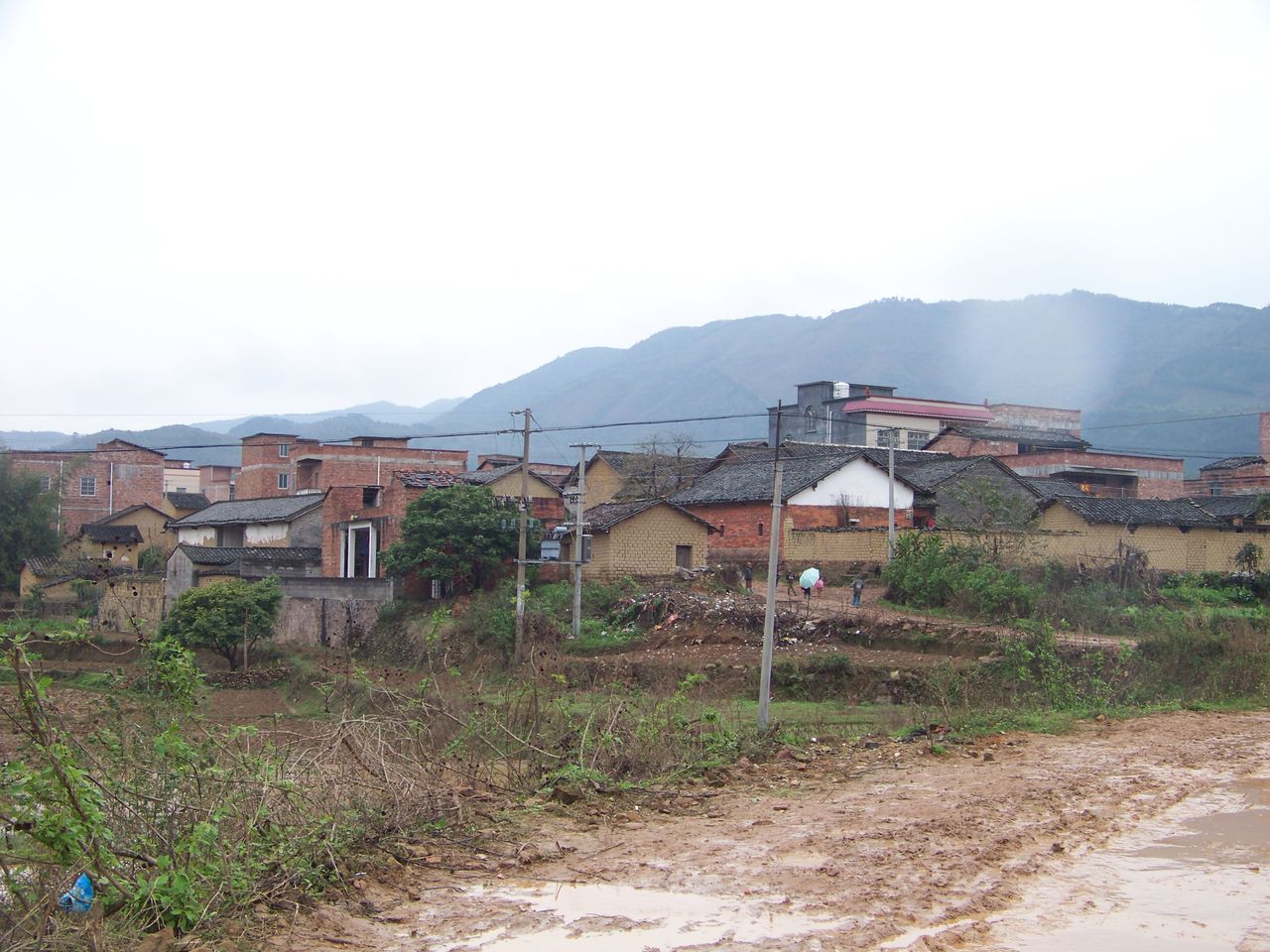  p>大湾镇位于广西壮族自治区 a target="_blank" href="/item/桂平市