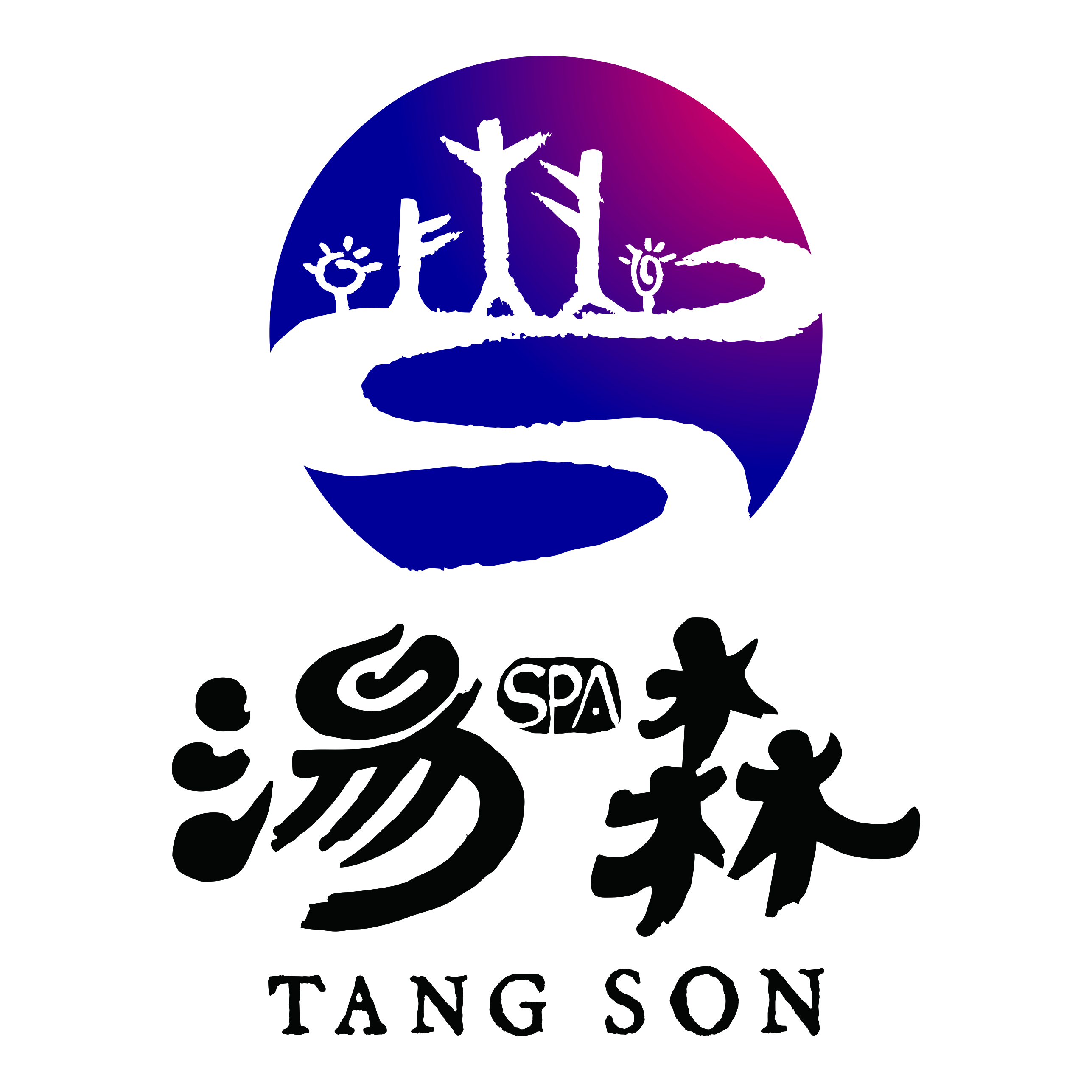 成立之初以健康绿色的汗蒸模式先后组建了南京汤森真韩式文化汤江宁店