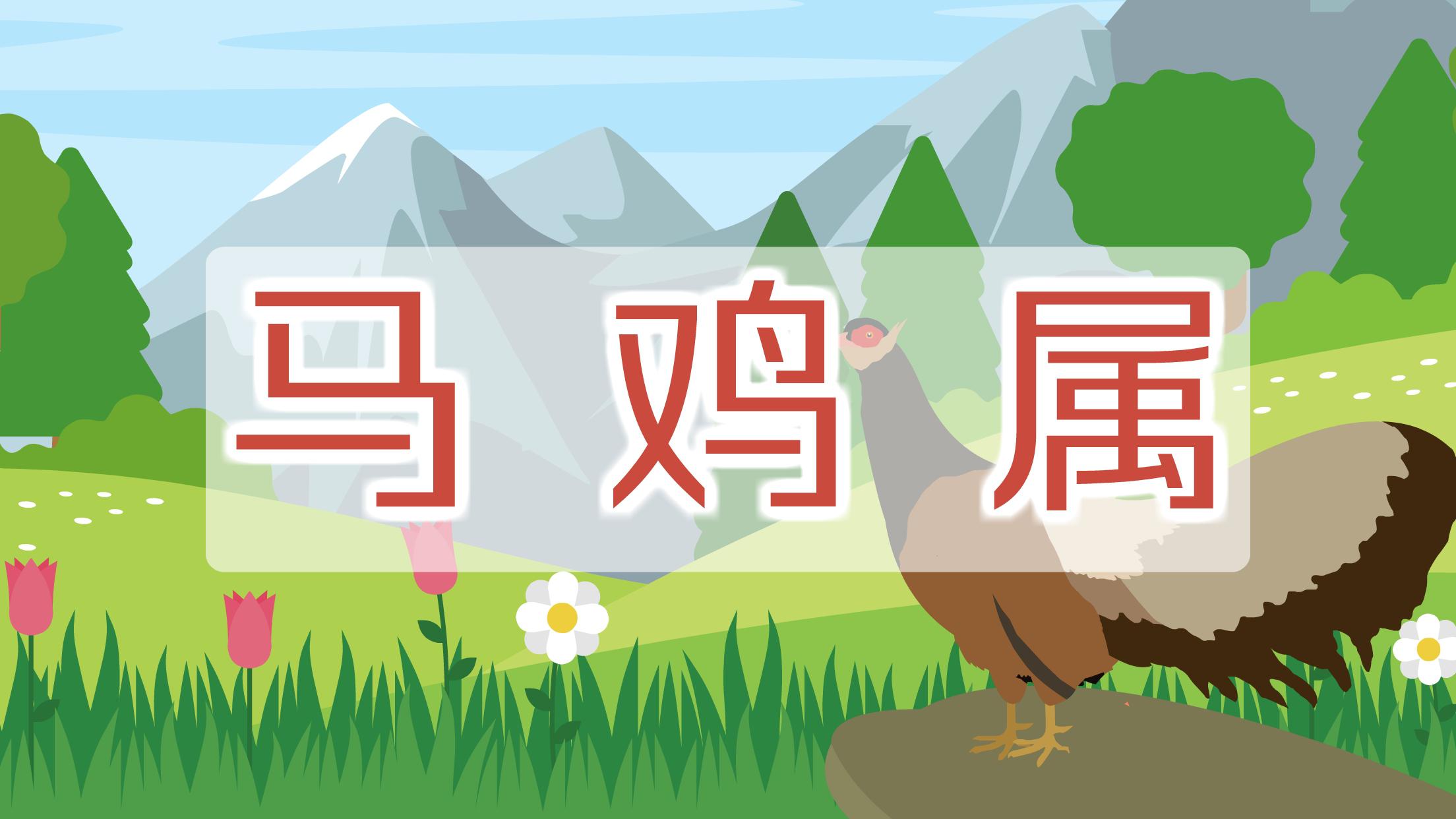 马鸡属:鸡形目雉科的1属