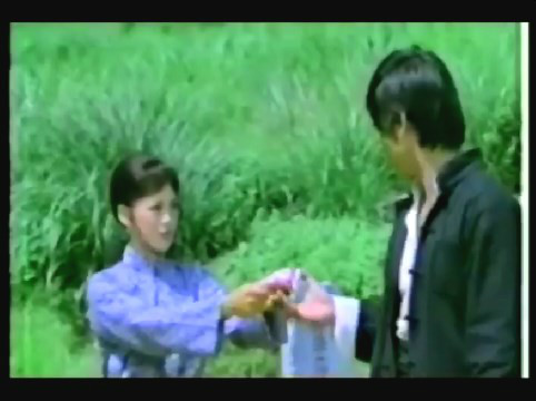  p>1979年上映的台湾动作功夫电影《追命人》由张曾泽导演,岳华,罗烈