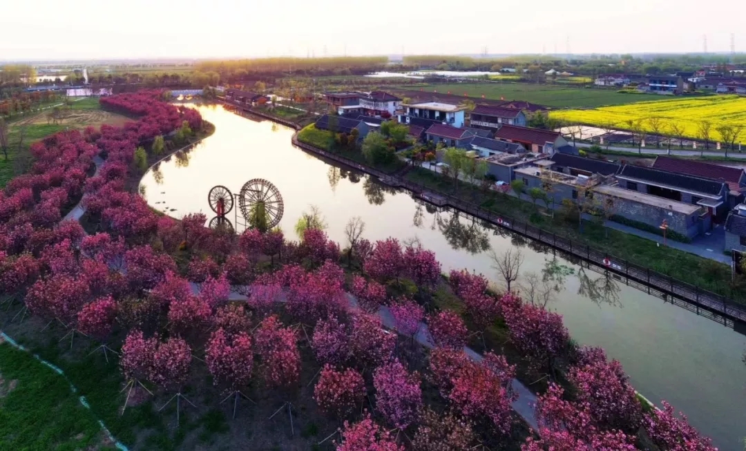  p>溱湖蟹村(绿洲)度假村始建于2013年,坐落于 a target="_blank"